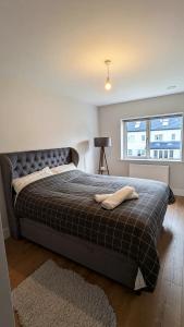 Postel nebo postele na pokoji v ubytování Private cosy rooms in Portmarnock short drive from Dublin Airport