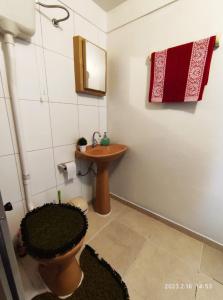 a bathroom with a toilet and a sink at Casa espaçosa próxima ao centro in Encantado