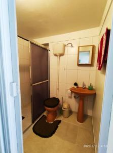 a bathroom with a shower and a toilet and a sink at Casa espaçosa próxima ao centro in Encantado