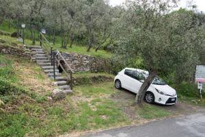 Kép Il Sole di Valletonda Holiday House szállásáról Cornigliában a galériában
