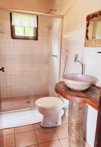 a bathroom with a sink and a toilet at Pousada dos Girassóis in Cunha