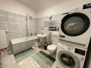 a bathroom with a washing machine and a toilet and a sink at Bergblick Apartment Sächsische Schweiz in Sebnitz