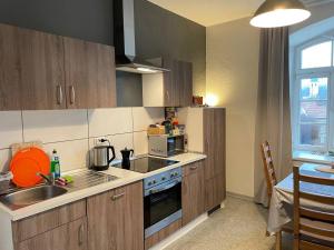 Kuchyň nebo kuchyňský kout v ubytování Bergblick Apartment Sächsische Schweiz