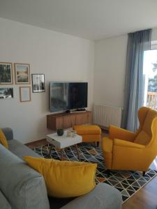 sala de estar con 2 sofás y TV en APARTMÁN RIVIÉRA LIPNO 511-16 en Lipno nad Vltavou