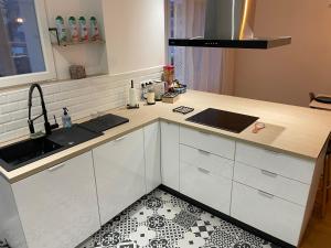 Kuchyňa alebo kuchynka v ubytovaní Appartement du lion