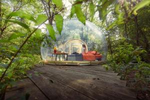 Zahrada ubytování Camping Future Is Nature Playground + 9 fotografií
