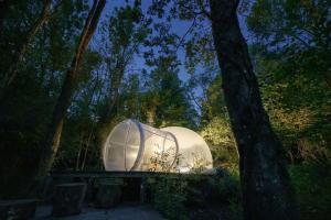 an igloo sitting in the middle of a forest at FUTURE IS NATURE PLAYGROUND in Sala Biellese