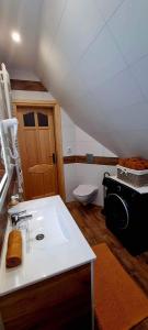 uma casa de banho com um lavatório e um WC num sótão em Willa u Łapów em Kościelisko