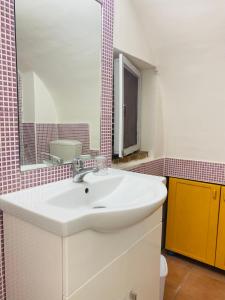 トッレ・デル・グレーコにあるDomus Agricolae Corallinaのバスルーム(白い洗面台、鏡付)