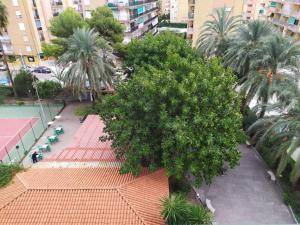 Fotografie z fotogalerie ubytování Apartamento playa v destinaci Playa Pobla de Farnals