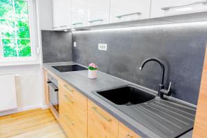 a kitchen with a sink and a counter top at Apartments Mala Vila in Rab