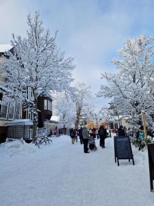 a group of people walking down a street covered in snow at Apartment am Bocksberg II in Hahnenklee-Bockswiese