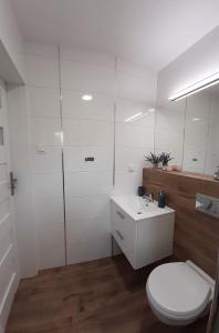 Baño blanco con aseo y lavamanos en Apartamenty Sol Mare, en Sarbinowo