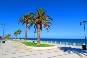 dwie palmy na chodniku obok plaży w obiekcie Monolocale Micarè 19 w mieście Roccella Ionica