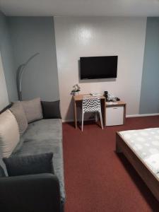 TV a/nebo společenská místnost v ubytování Hotel Boršičanka