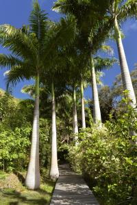 Betikure Parc Lodge外面的花园