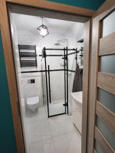 a bathroom with a toilet and a shower and a sink at DEIZY Apartamenty in Wągrowiec
