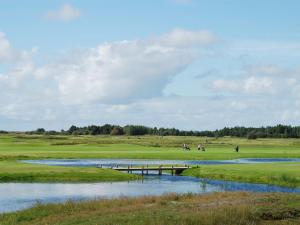 widok na pole golfowe z mostem i wodą w obiekcie Holiday Home Gudbrand - 300m from the sea in Western Jutland by Interhome w mieście Havneby
