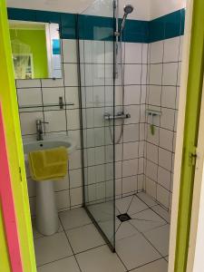 ein Bad mit einer Dusche und einem Waschbecken in der Unterkunft Gîte Zandoli Koko in Sainte-Anne