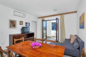 TV a/nebo společenská místnost v ubytování Apartments Igor