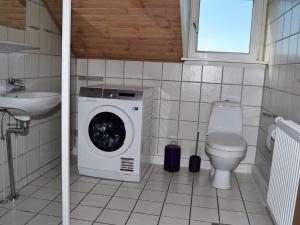 a bathroom with a washing machine and a toilet at Apartment Niilo - 1-7km from the sea in Western Jutland by Interhome in Sønderby