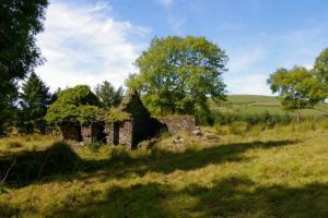 an old stone house in a field of grass at Maggie's Cottage in Thurles