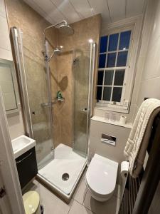 a bathroom with a shower and a toilet at Vane House in Osmotherley