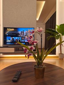 a plant sitting on a table in front of a tv at Best Moments suite 1 in Kuantan