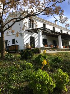 Una casa blanca con un árbol delante. en La Sorpresa, en Valle de Abdalajís