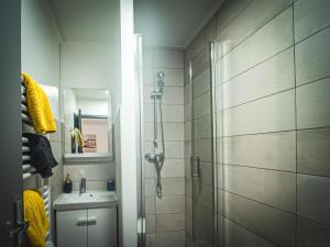 a bathroom with a shower and a sink at Le P'tit Jeanne d'Arc in Nancy