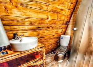 a bathroom with a sink and a toilet at CabanaAframe intreaga proprietate in Curtea de Argeş