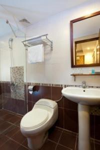 a bathroom with a toilet and a sink and a mirror at Lam Bao Long Hotel in Hue