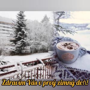 Penzion Zornicka v zime