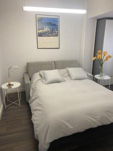 1 dormitorio con 1 cama blanca y 2 almohadas en Domus Santa Clara Céntrico apartamento con Wifi, en León