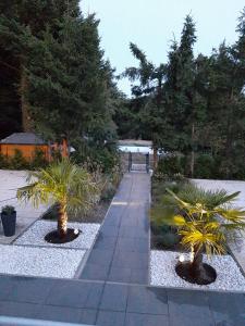 Zahrada ubytování Design Maisonette - 24h Self-Check- GONDWANA Park - bis 7 Pers - In direkter Weihernähe - Parkplatz - WiFi - Balkon -Terrasse