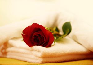 una rosa roja sentada encima de las toallas en Imperion, en Cangas de Onís