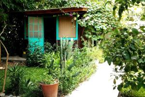 um jardim com uma casa com uma porta azul em Cozy studio with lovely garden em Tigre
