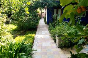 um caminho de jardim em frente a uma casa azul em Cozy studio with lovely garden em Tigre