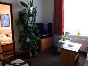 a living room with a plant in the corner of the room at Hotel Avion in Prostějov