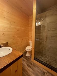 a bathroom with a shower and a toilet and a sink at MAINE PINES LMIT 8 home in Denmark