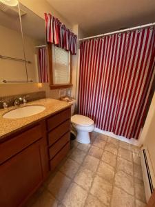 La salle de bains est pourvue d'un rideau de douche rouge et de toilettes. dans l'établissement TREMONT LIMIT 10 villa, à Bridgton