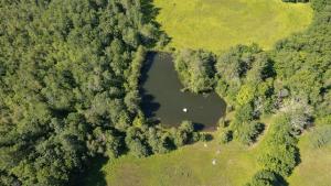 z powietrza widok na jezioro w lesie w obiekcie BRYANT FARM LIMIT 27 farmhouse w mieście North Waterboro