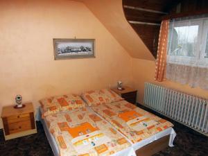 una camera da letto con un letto e una finestra di Hotel Avion a Prostějov