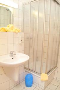 La salle de bains est pourvue d'un lavabo et d'une douche. dans l'établissement Hotel Müritzterrasse, à Röbel