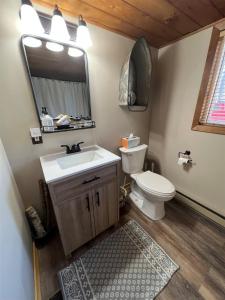 a bathroom with a sink and a toilet and a mirror at ALPINE VILLAGE GETAWAY LIMIT 8 cottage in Bridgton