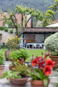 un grupo de plantas en macetas frente a una casa en Posada de Muño, en Muñorrodero