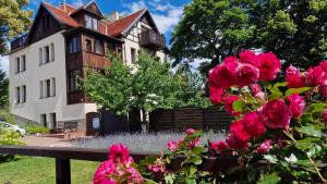 a house with pink flowers in front of it at Willa Kwiaty Polskie in Jedlina-Zdrój