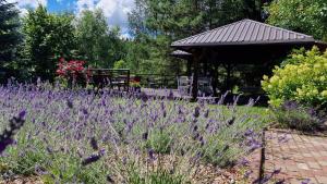 einen Garten mit lila Blumen und einem Pavillon in der Unterkunft Willa Kwiaty Polskie in Jedlina-Zdrój