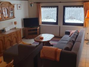 TV a/nebo společenská místnost v ubytování Chalet in Usseln near Ski Resort