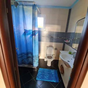 a bathroom with a shower and a toilet and a sink at GUEST HOUSE in VERGIA in Vergia